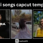 Hindi Songs CapCut Template