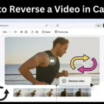 How to Reverse a Video in CapCut